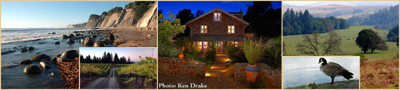 Casa Carolina Vacation Rental - Sonoma